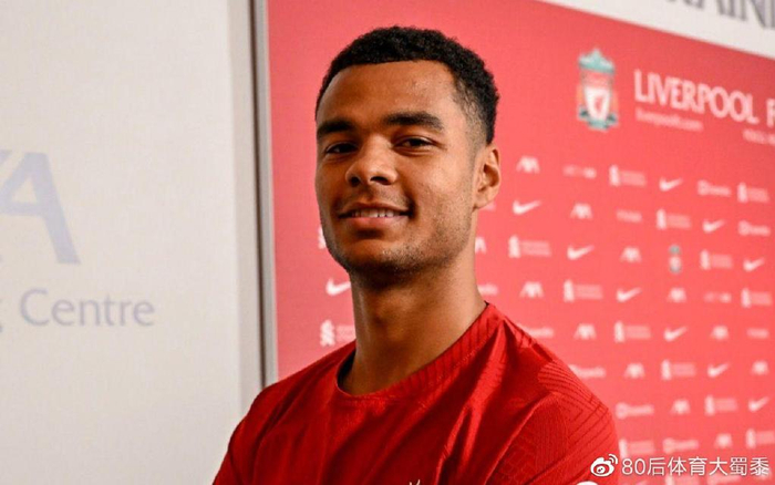 最高荣誉 最高荣誉