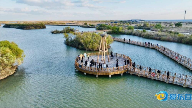 库里的表现 库里的表现